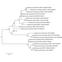 Article figure