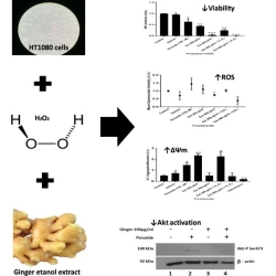 Article figure