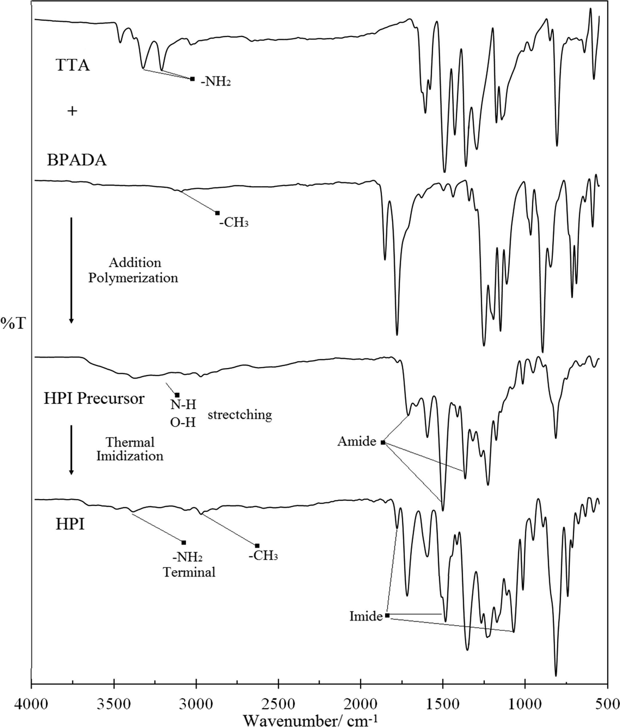 FT-IR spectra of the formation of TTA/BPADA HPI precursor through addition polymerization and the formation of TTA/BPADA HPI through thermal imidization.