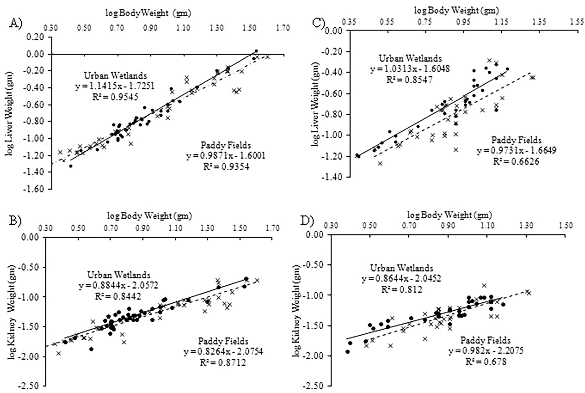 Regression analysis showing relationship between body weight and liver weight (A); body weight and kidney weight (B) of females; body weight and liver weight (C) and body weight and kidney weight (D) of males of Common Skittering Frog (Euphlyctis cyanophlyctis) collected from paddy fields (dotted line) and urban wetlands (bold line).