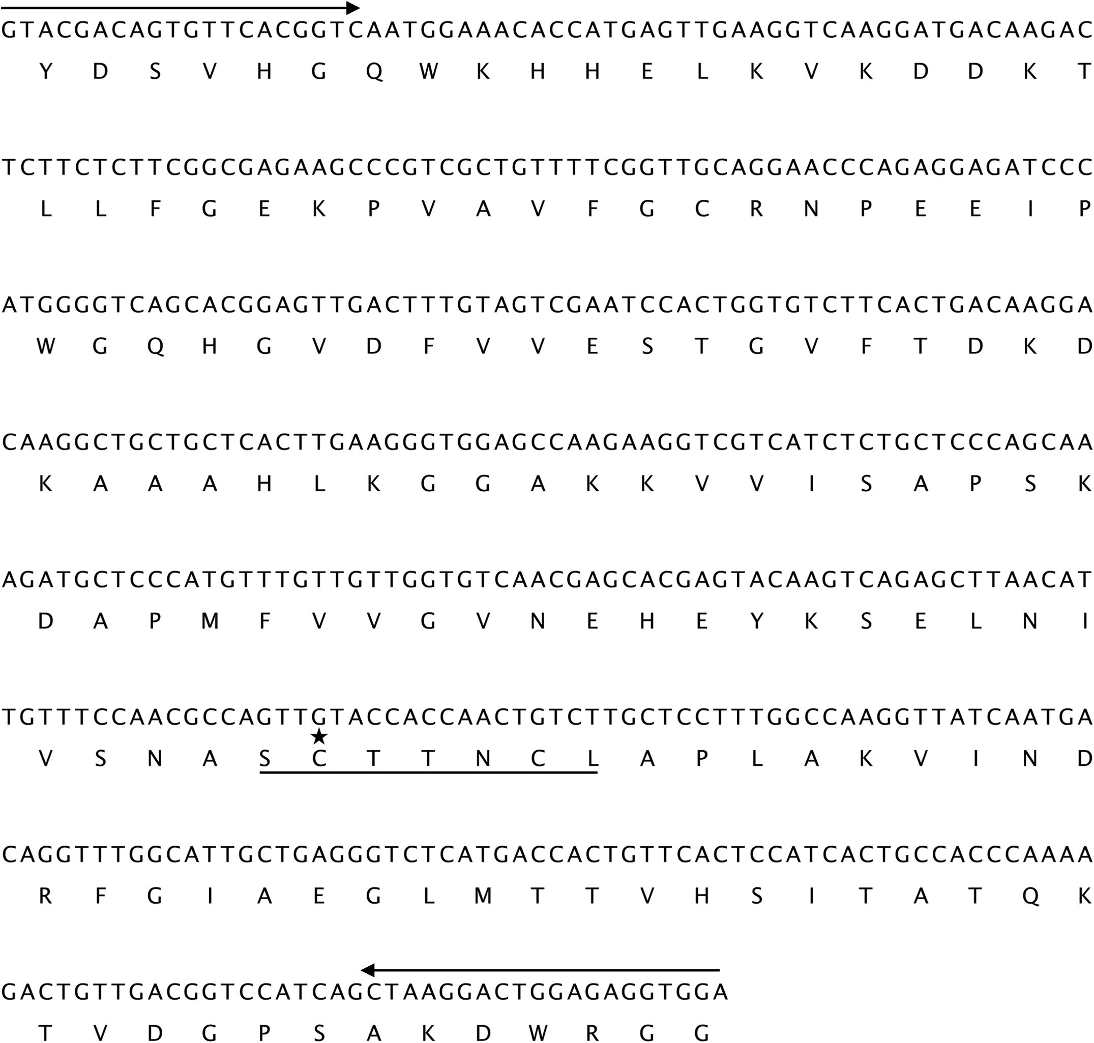 The nucleotide and deduced amino acid sequence of H. salicornicum GAPDH460. The forward S1 and reverse S3 primers sequences are shown (delimited by arrows). The characteristic signature pattern of GAPDH family is underlined. A conserved cysteine residue (C) that is important for the binding of glyceraldehyde-3-phosphate in the catalytic site is indicated with an asterisk (*).