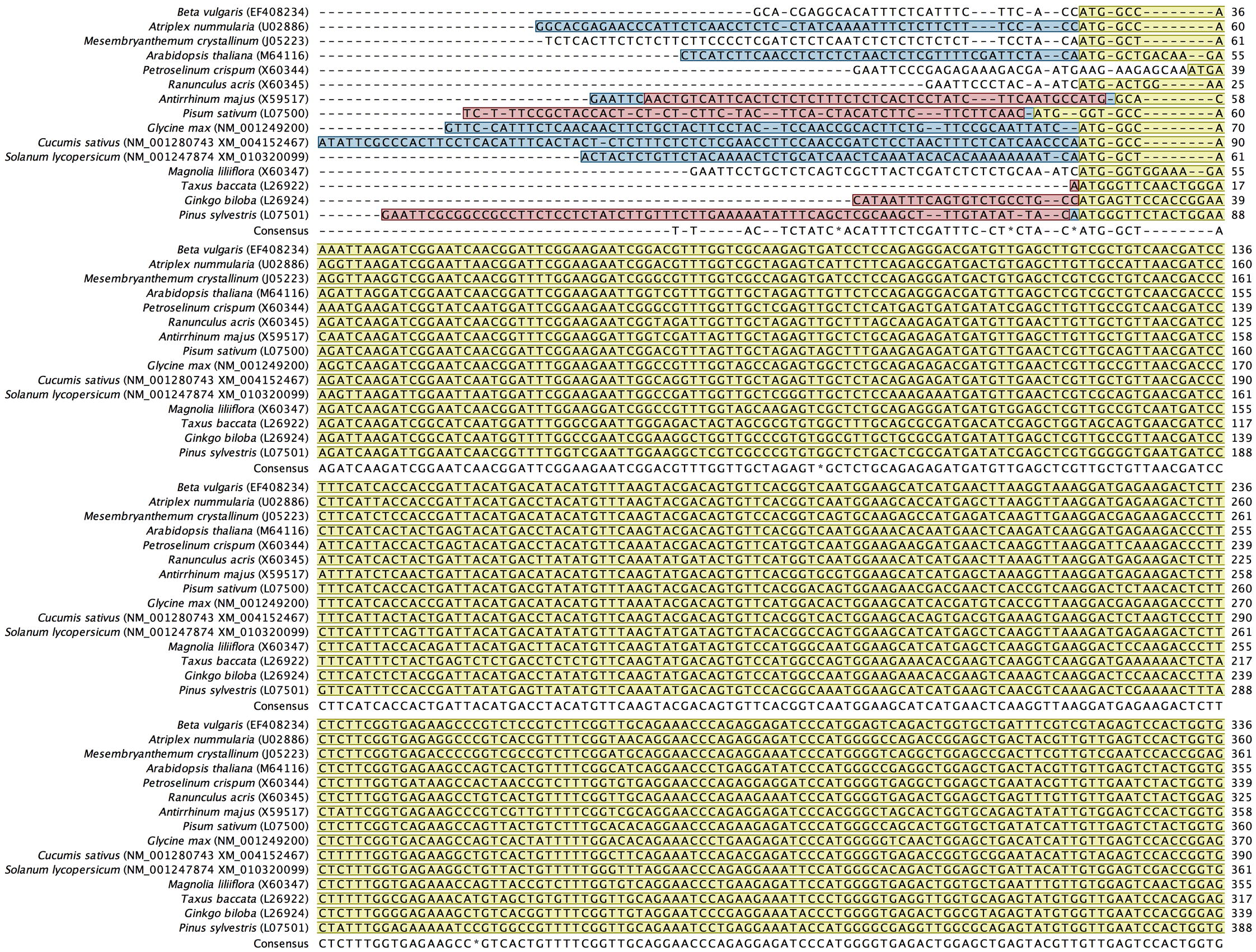 Alignment of back-translated DNA sequences of homologous orthologs GAPDH protein coding regions. Alignments were generated using ClustalW. Gaps have been introduced to permit alignment. Coding sequences are highlighted with light brown color. Blue highlighted sequences indicate the remaining part of each gene, and purple highlighted sequences indicate the 5′ and 3′ end sequences. Species included in the alignment and their accession numbers (between brackets) are shown beside each corresponding sequence.