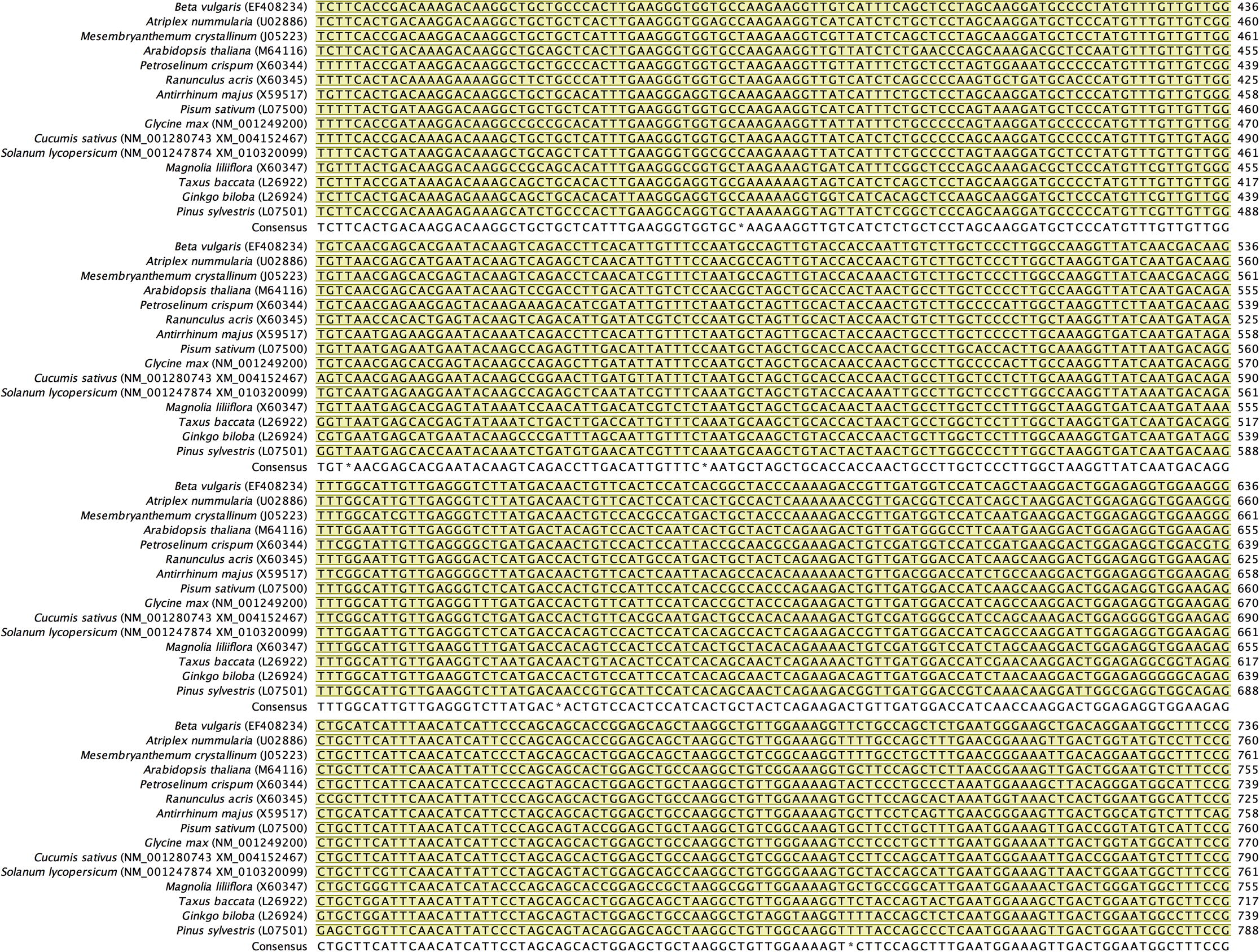 Alignment of back-translated DNA sequences of homologous orthologs GAPDH protein coding regions. Alignments were generated using ClustalW. Gaps have been introduced to permit alignment. Coding sequences are highlighted with light brown color. Blue highlighted sequences indicate the remaining part of each gene, and purple highlighted sequences indicate the 5′ and 3′ end sequences. Species included in the alignment and their accession numbers (between brackets) are shown beside each corresponding sequence.