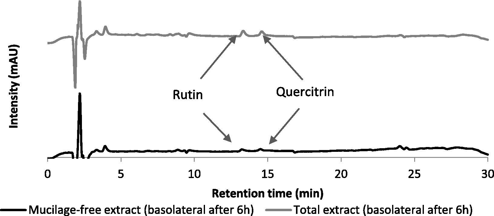 RP-HPLC-DAD of the total extract and mucilage-free extract in basolateral side after 6 h of permeation through Caco-2 monolayers.