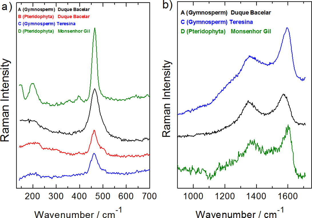 Raman spectra of the fossils A, B, C and D for the spectral ranges (a) from 150 to 700 cm−1 and (b) from 950 to 1650 cm−1. The identification of the four fossils in reference, are given on Table 2.