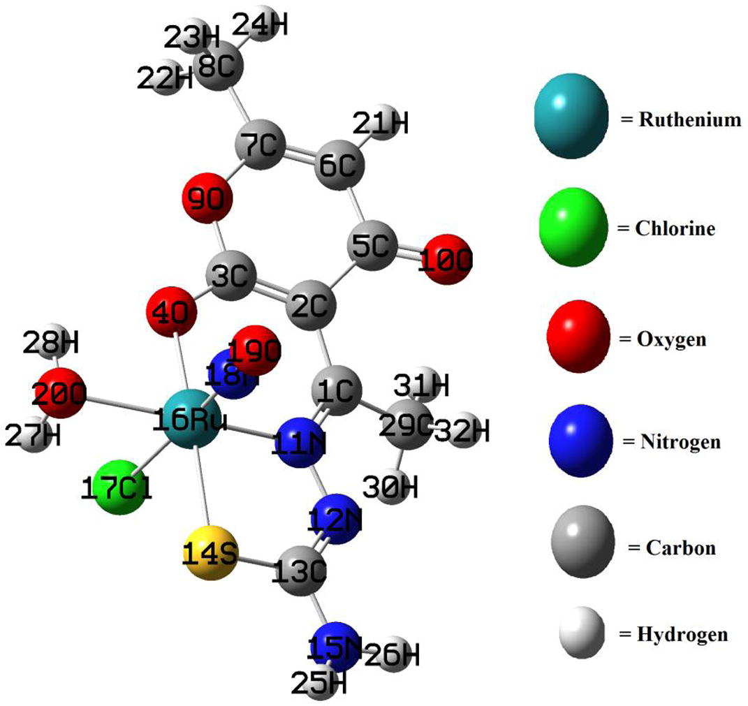 Optimized structure of the complex and color coding of the constituent atoms.