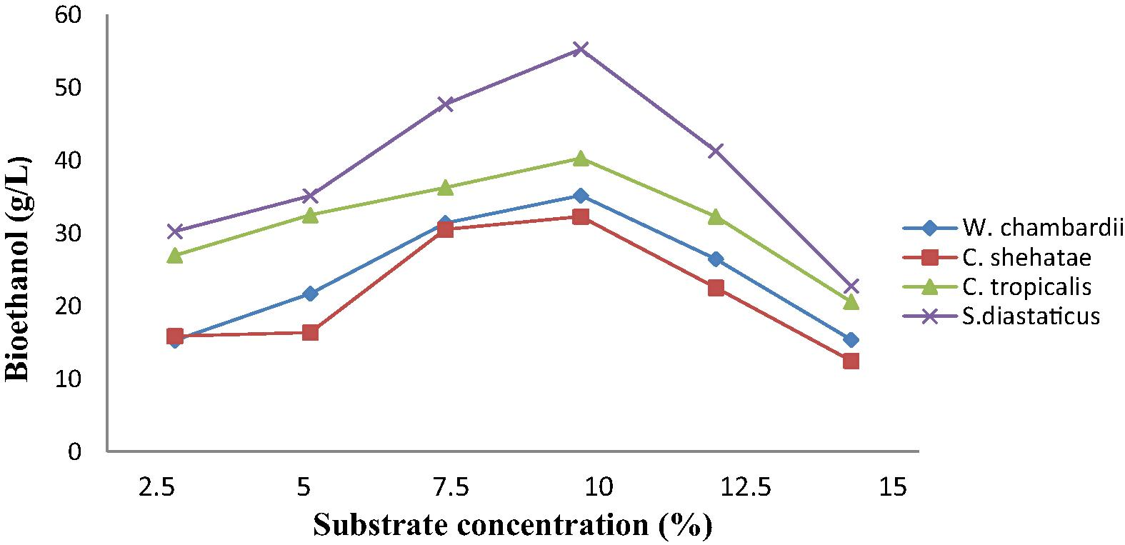 Effect of corn straw concentration on ethanol production by immobilized yeasts.