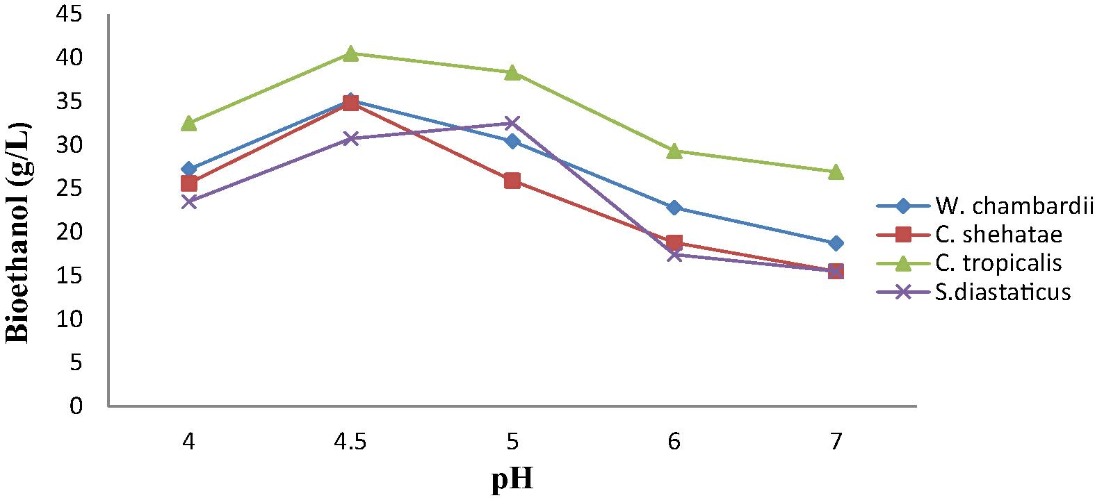 Effect of initial pH on ethanol production from corn straw by immobilized yeasts.