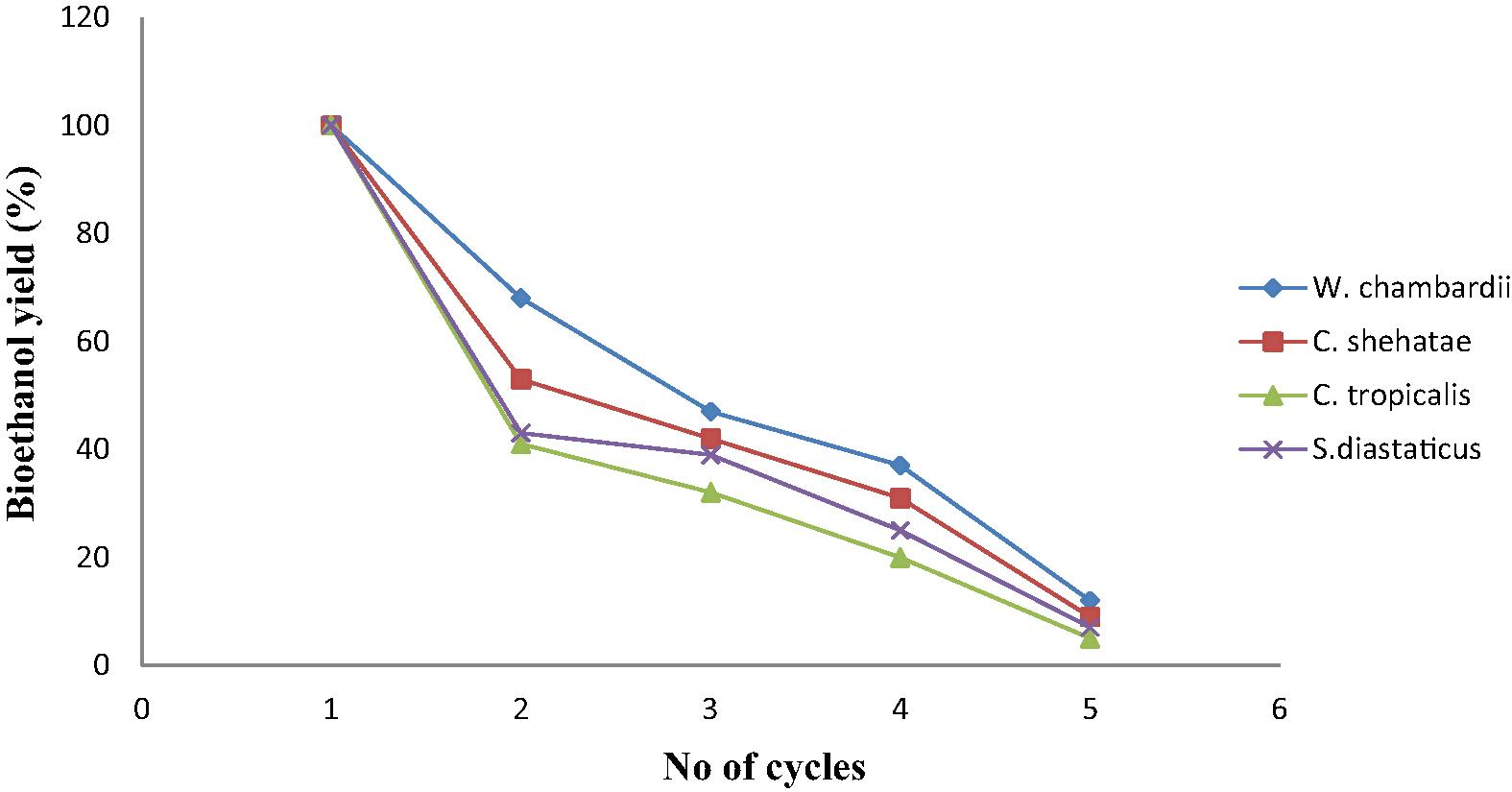 Reusability of immobilized yeasts on bioethanol production from corn straw.