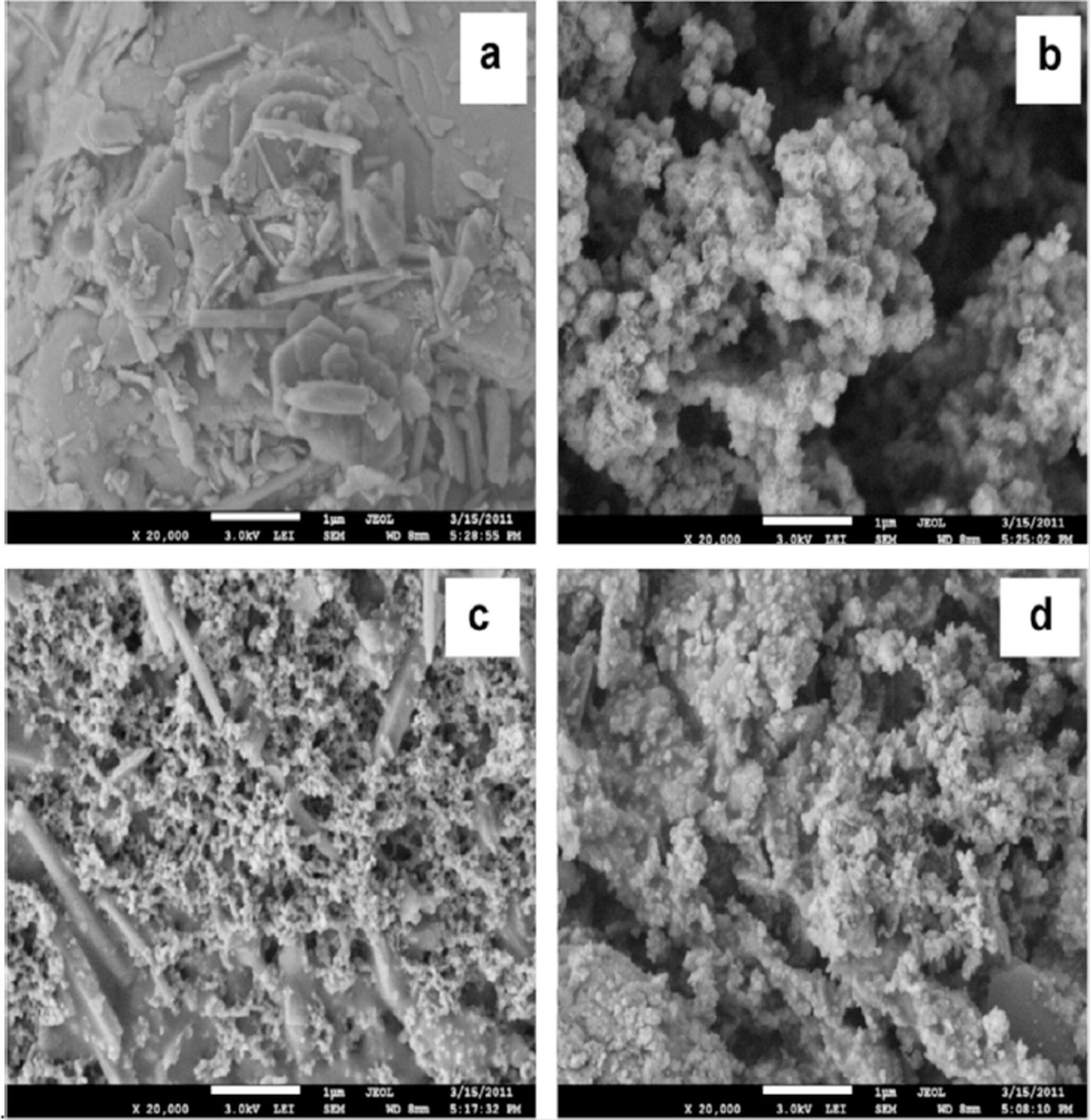 SEM images (a) kaolin, (b) Fe/Ni, (c) K-Fe/Ni, and (d) K-Fe/Ni after reaction with DBG (Liu et al., 2013a,b).