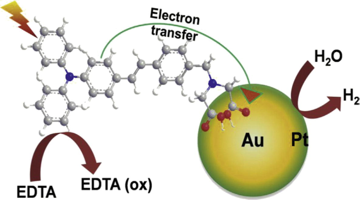 Schematic representation of the electron transfer from a TPAD sensitizer into Au core Pt shell nanoparticle and photoinduced hydrogen evolution under light irradiation (Cheng et al., 2013).