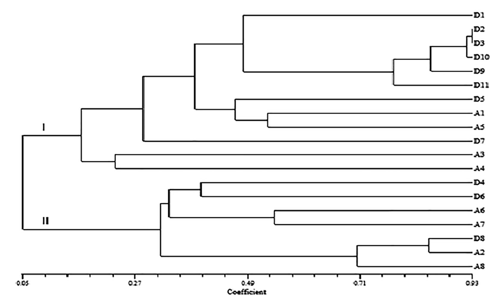 UPGMA cluster analysis based on Jaccard’s similarity coefficient. D1-Red Delicious, D2-Kullu Delicious, D3-Shimla Delicious, D4-Golden Delicious, D5-Cross Delicious, D6-Molies Delicious, D7-Gole Delicious, D8-Balgarian Delicious, D9-Oregon Spur, D10-Reeka Red, D11-Siliver Spur, A1-Kashmiri Ambri, A2-Lal Ambri, A3-Ambri Cross, A4-Balgarian Ambri, A5-Vilayati Ambri, A6-Delicious Ambri, A7-Dudh Ambri, A8-High Density Ambri.