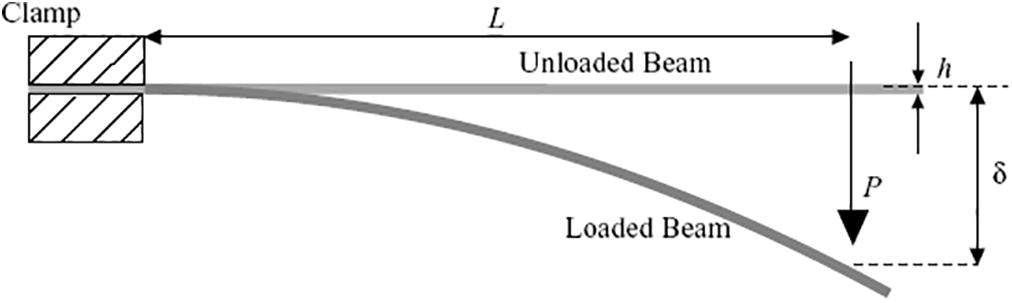 Schematic test set-up for static loading of cantilever beam.