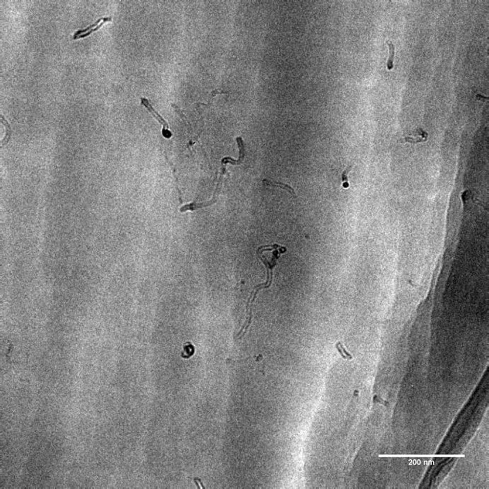 TEM image of the SWNTs dispersion in epoxy based Proposed Multi-Stage method.