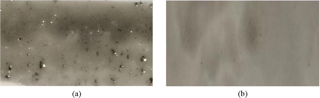 Dispersion of SWNTs in Macro Scale- (a) Bad dispersion/(b) Good dispersion.