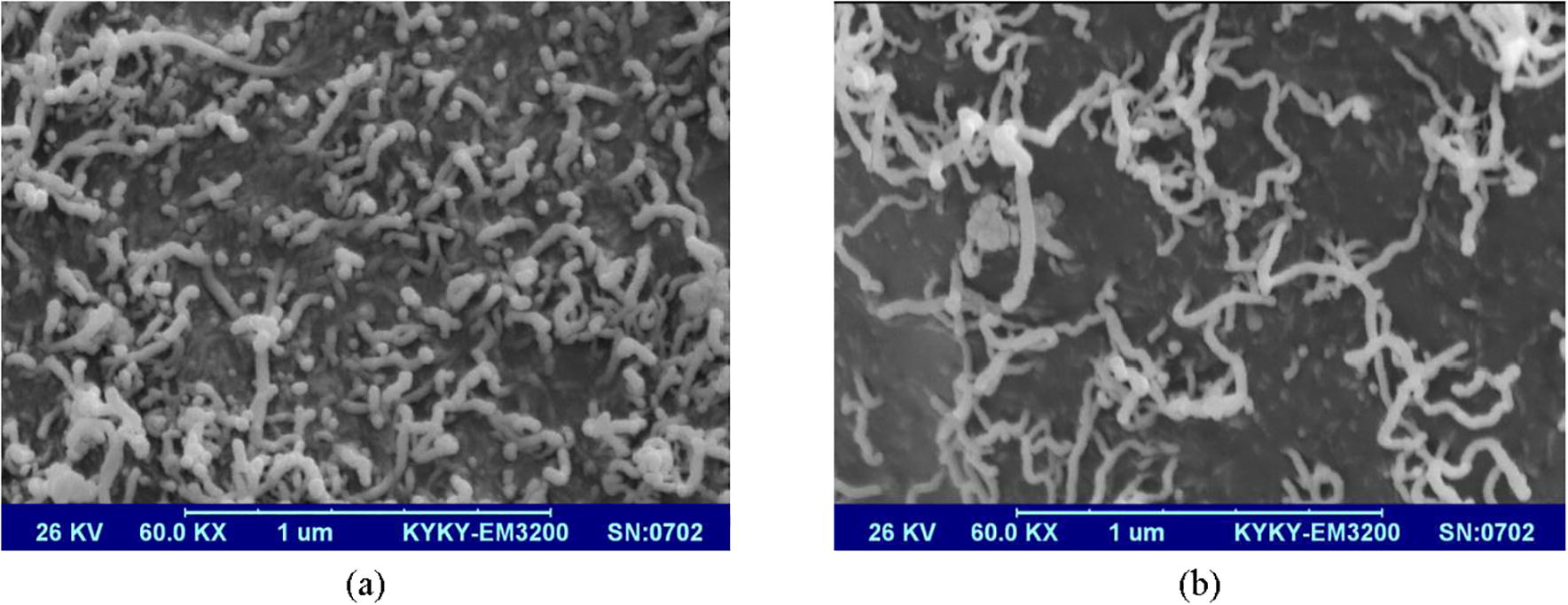 SEM images of the SWNTs dispersion in epoxy based on (a) Traditional method with probe and (b) Proposed Multi-Stage method.