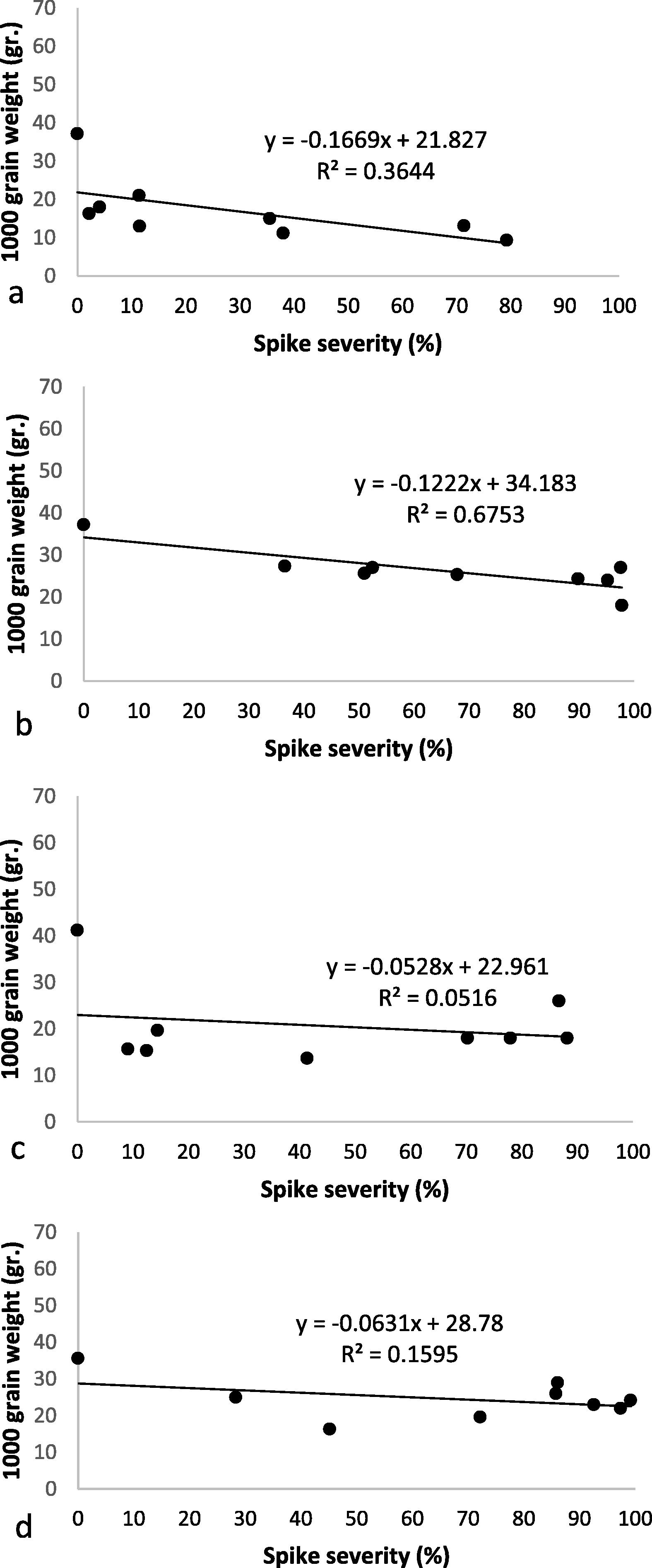 Correlation between spikes severity (%) vs 1000-grain weight (gr) on cvs ACA 303 (a), Baguette 11 (b), Buck Meteoro (c) and Klein Proteo (d).