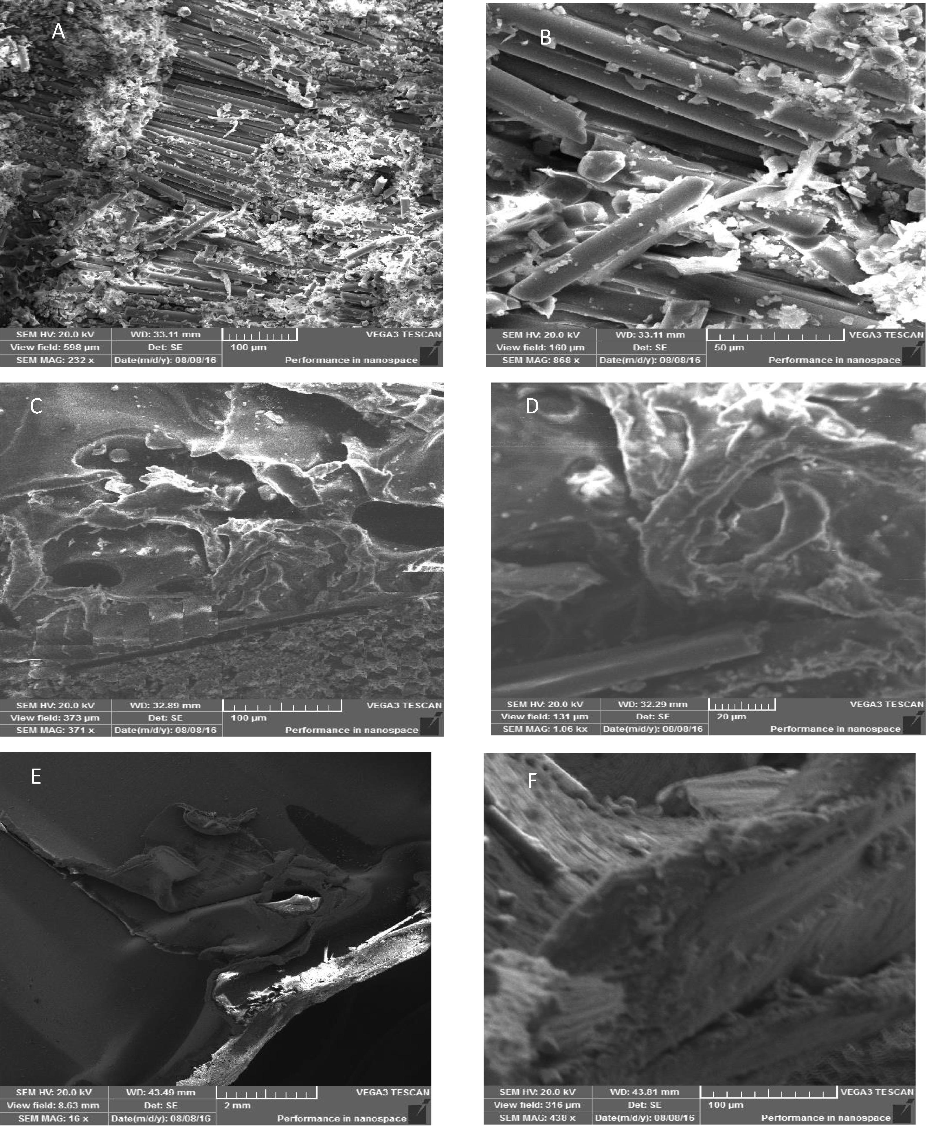 Surface study of face sheet, core and facing interface and cell wall (A) Compression failure of facing at loaded region (B) Failure of inter lamina of fiber glass facing (C) Delamination at core and facing interface (D) Interfacial shear failure (E) Bending defects in core (F) shear failure of cell wall.