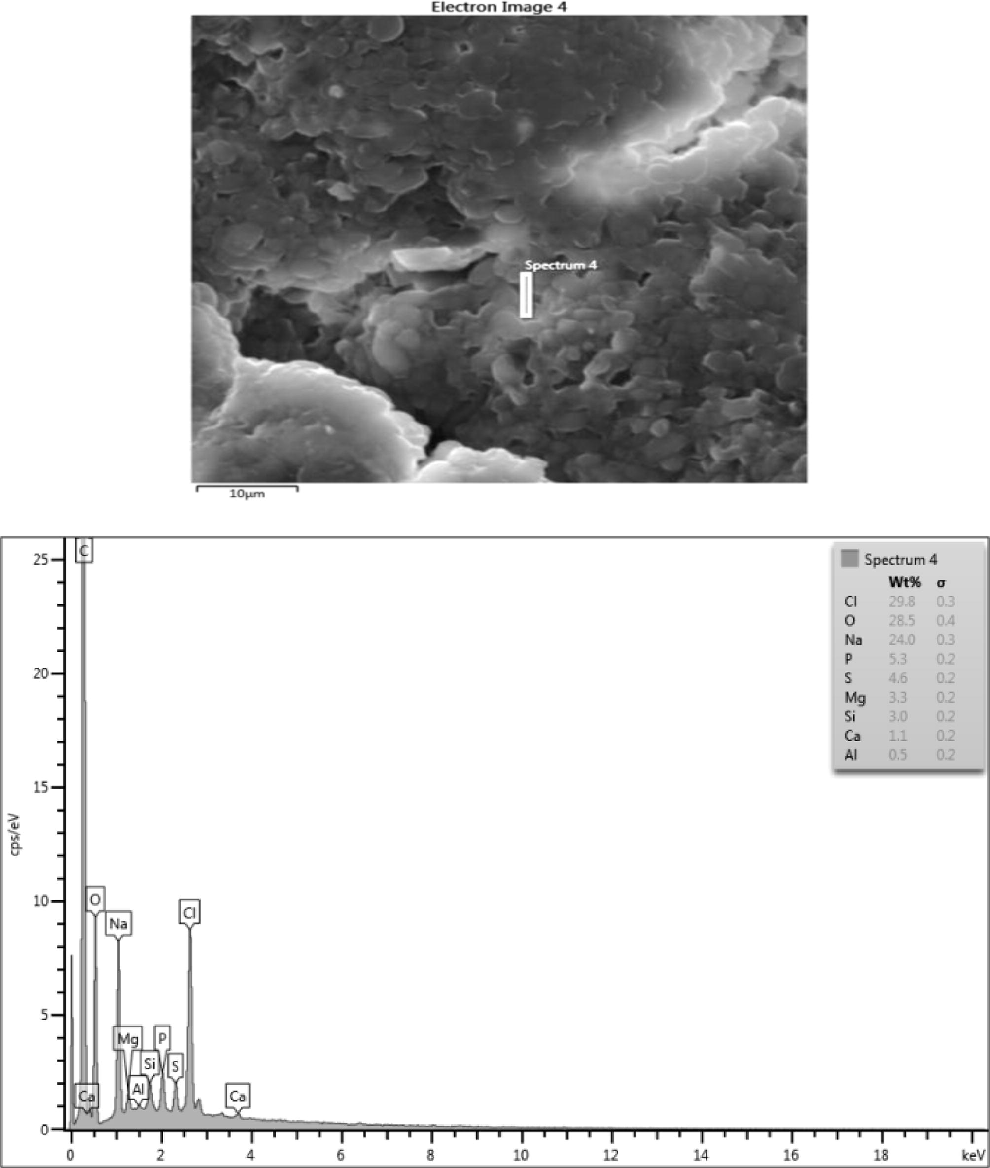 Microstructure, surface morphology and chemical composition of PHA from Arthrobacter species.