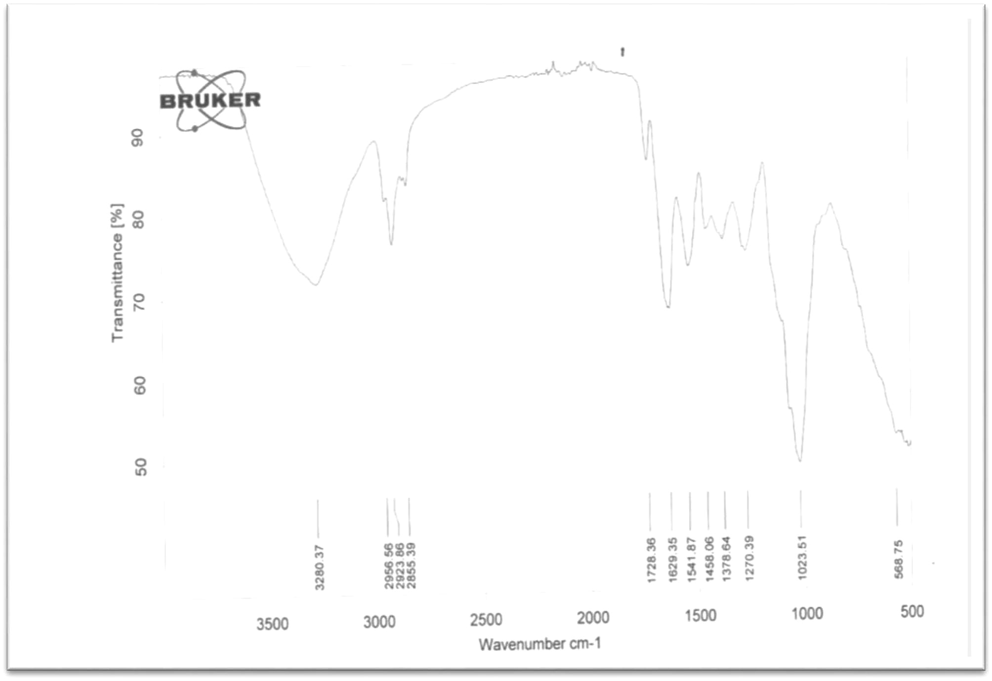 FT-IR analysis of PHA granules obtained from Rhodococcus species.