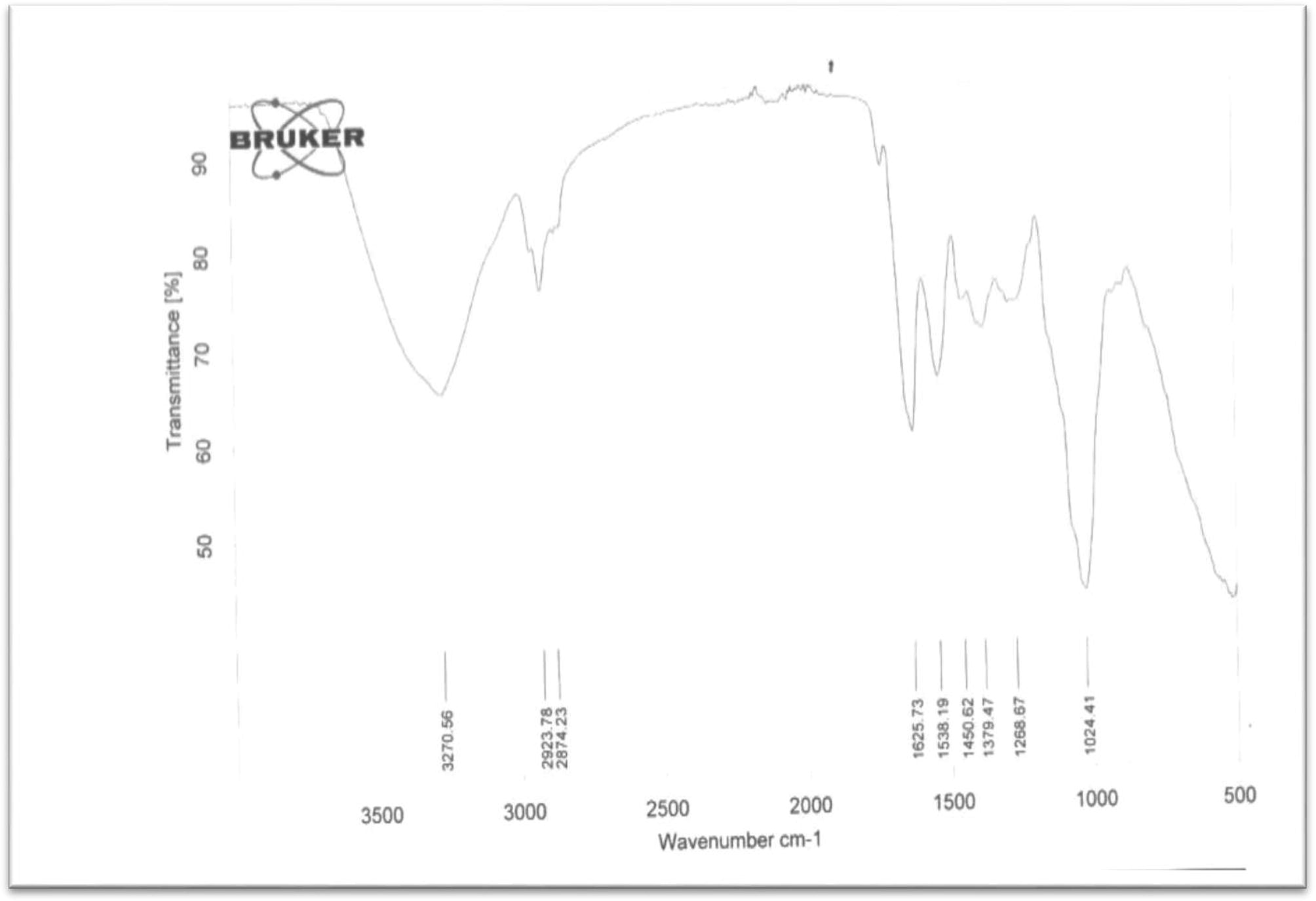 FT-IR analysis of PHA granules obtained from Corynebacterium species.