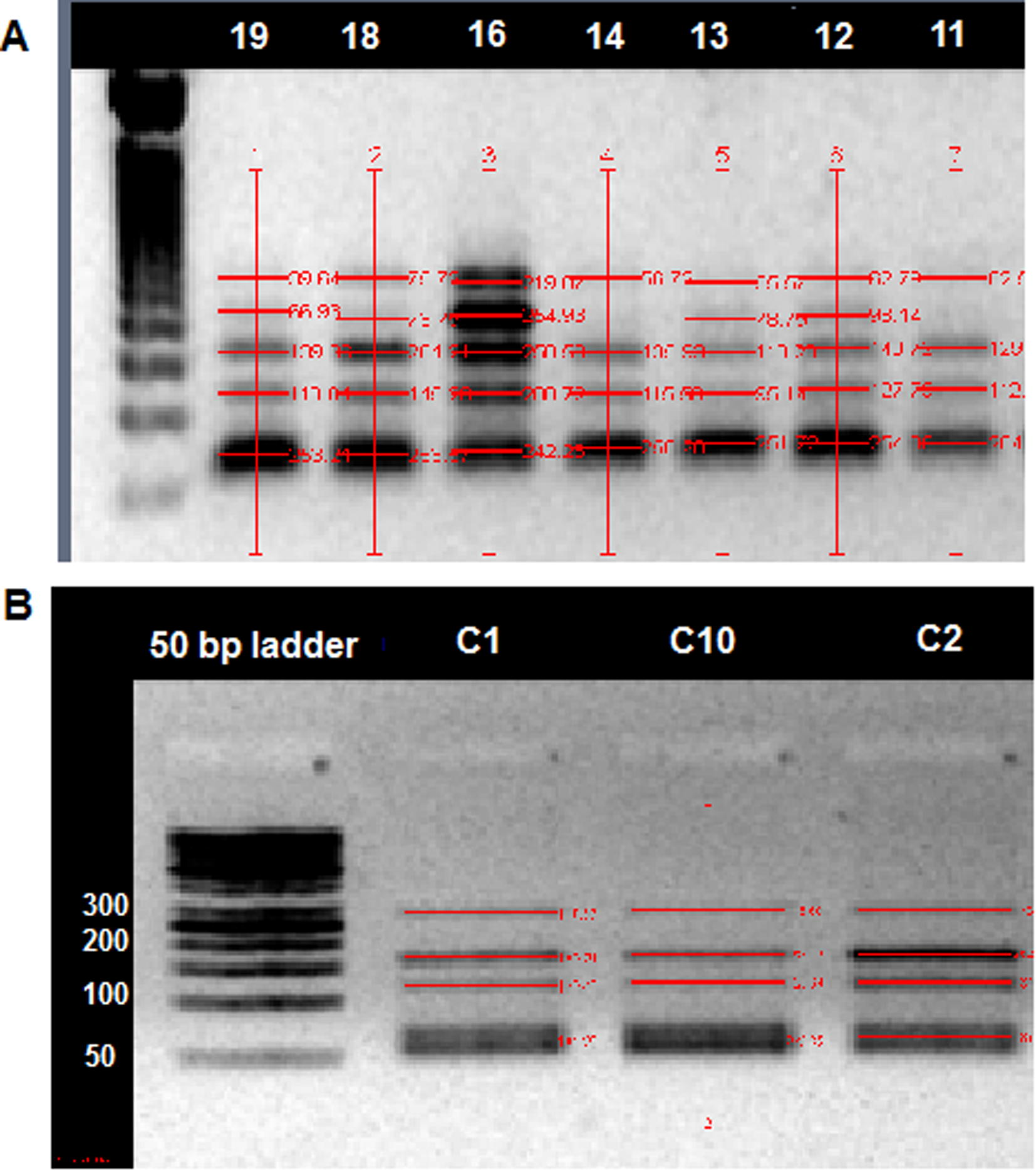 Methylated quantity analysis for Bim gene promoter: Quantitation was performed using combined bisulfate restriction analysis (COBRA) method in CRC patient (A) and controls (B). Numbers indicate subjects ID.