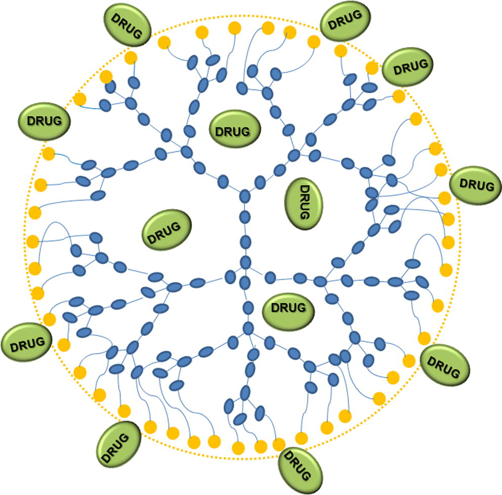 Scheme of drug loading in dendrimeric structure.