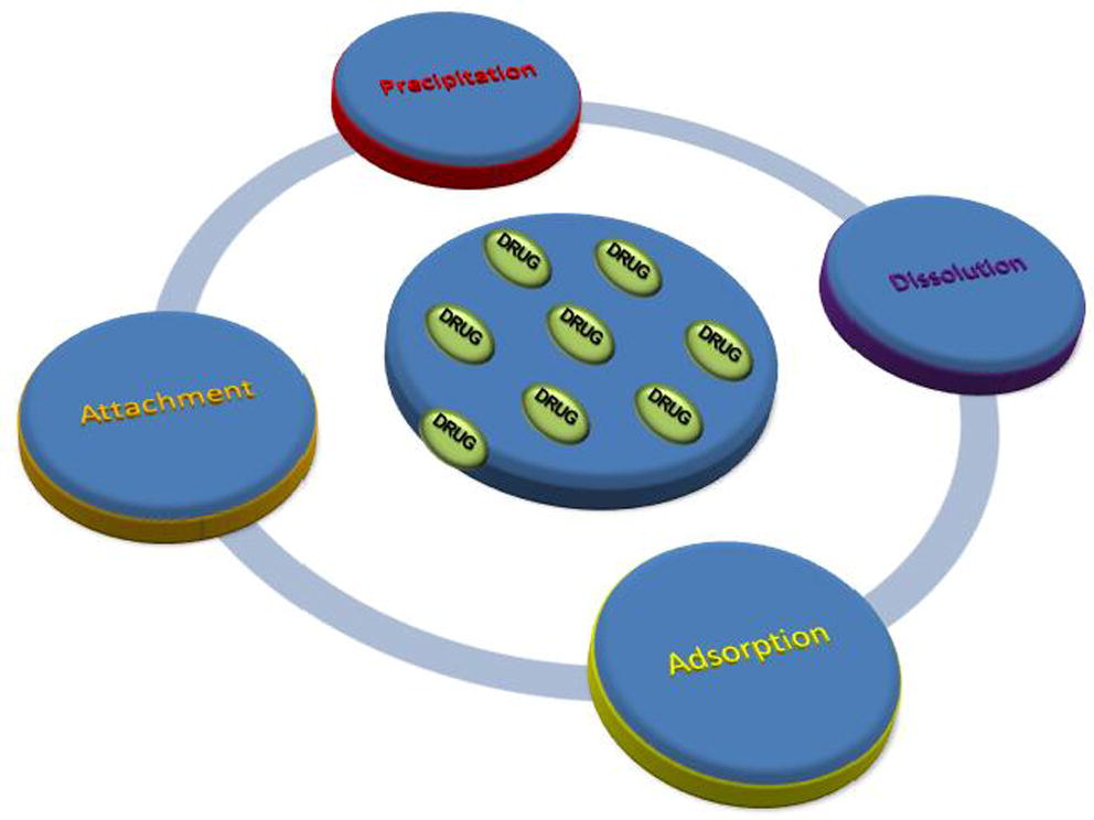 Scheme of methods for drug loading in polymeric nanoparticles and nanogels.