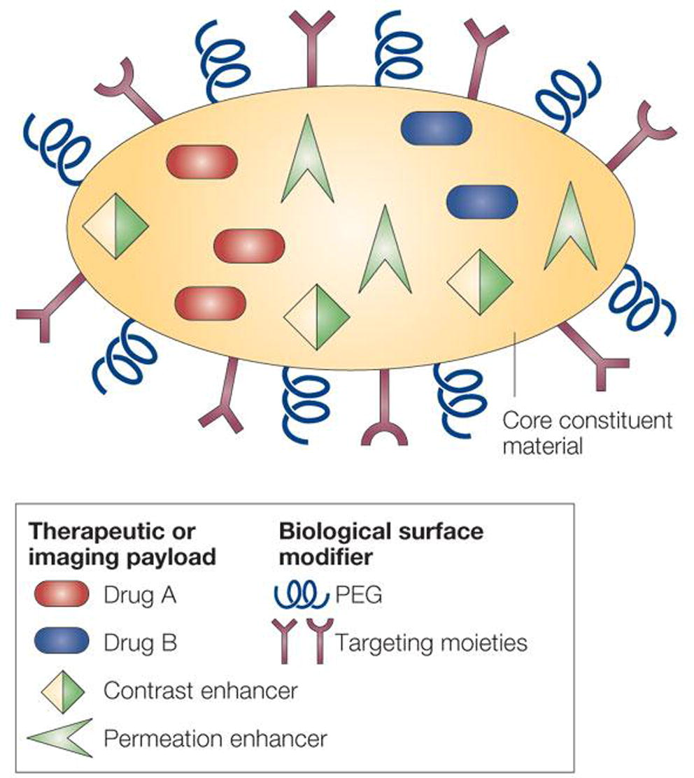 Scheme of multifunctional nanoparticles (Ferrari, 2005).