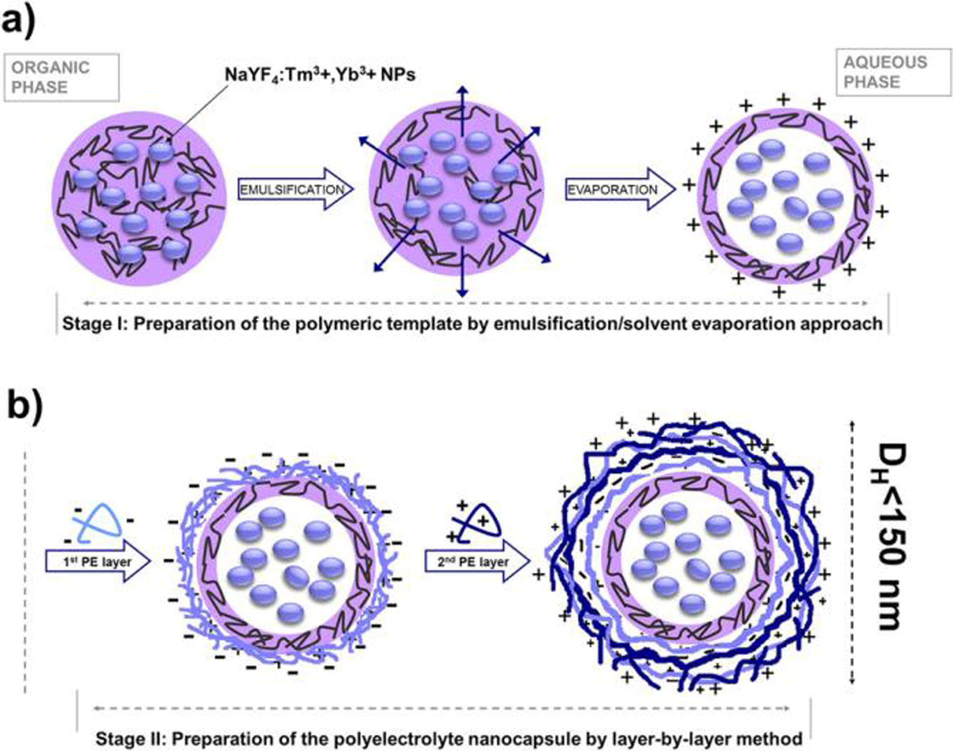 NaYF4:Tm3+,Yb3+NPs loaded oil-core polyelectrolyte nanocapsules preparation by two-steps: emulsification/solvent evaporation (a) and LbL (b) approach (Bazylińska, et al., 2016).