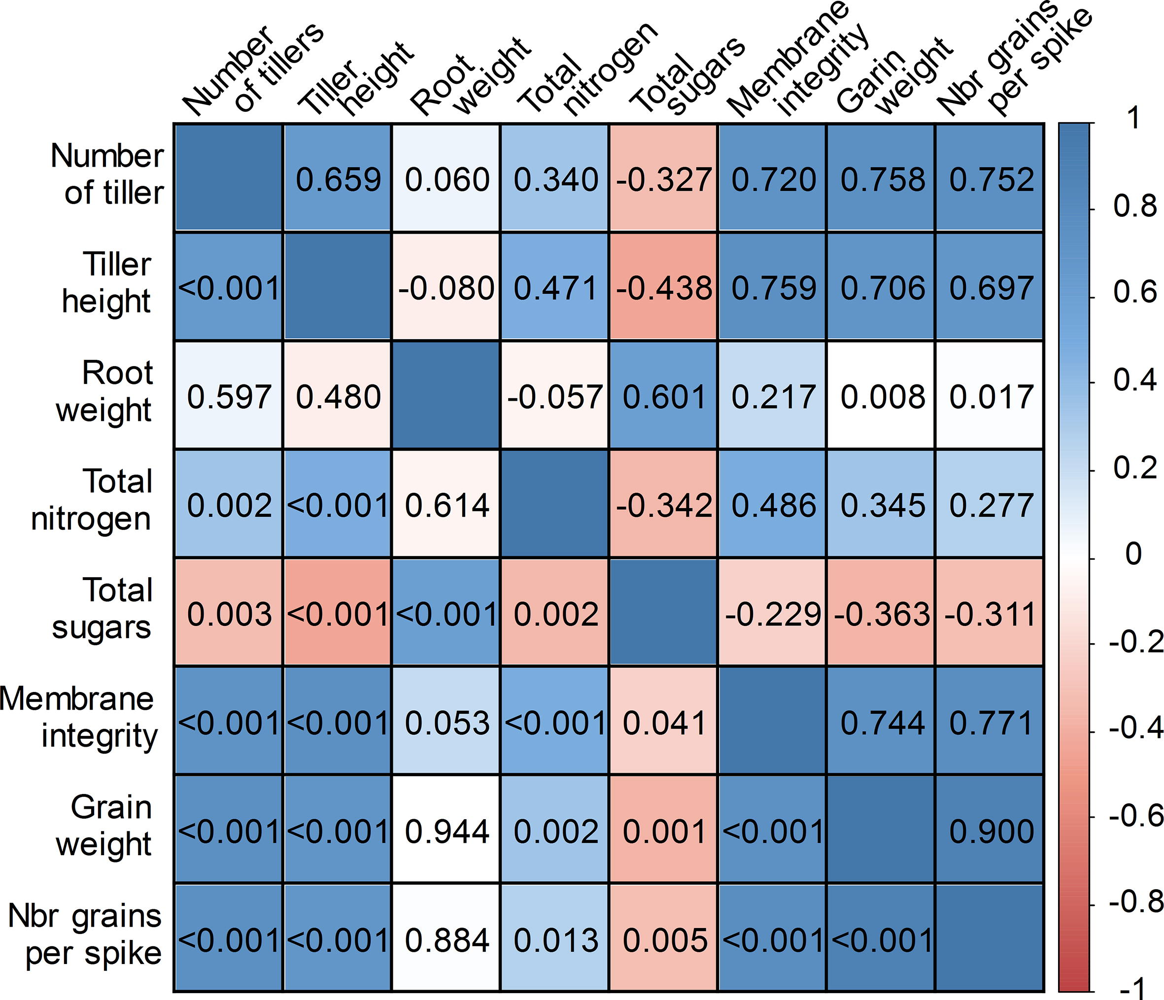 Correlation matrix between growth parameters of Durum Wheat variety waha grown under nursery conditions. Pearson test values are given as the correlation coefficient (above diagonal) and P-value (under diagonal).