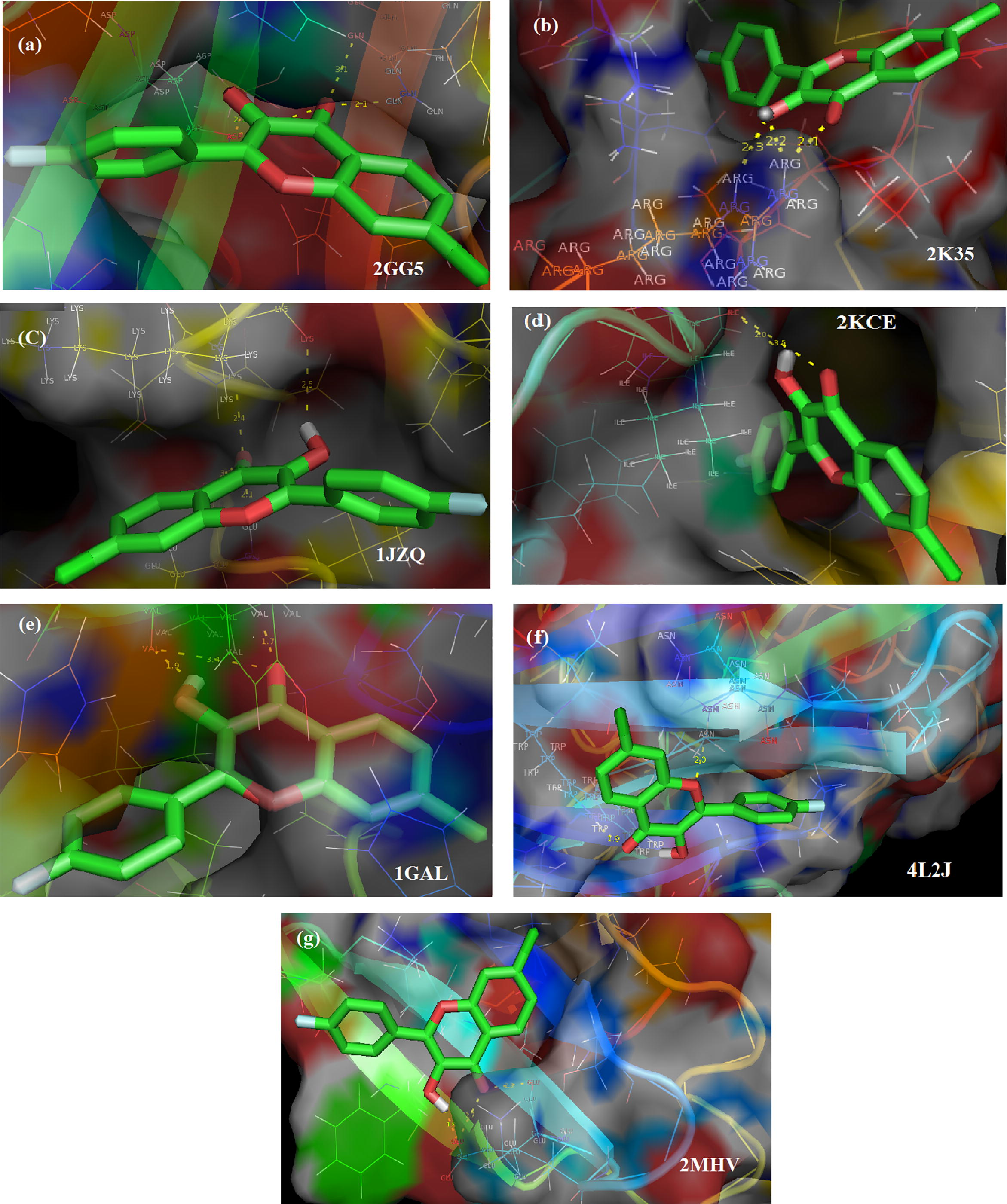 Ligand CFPHC interactions with target proteins.