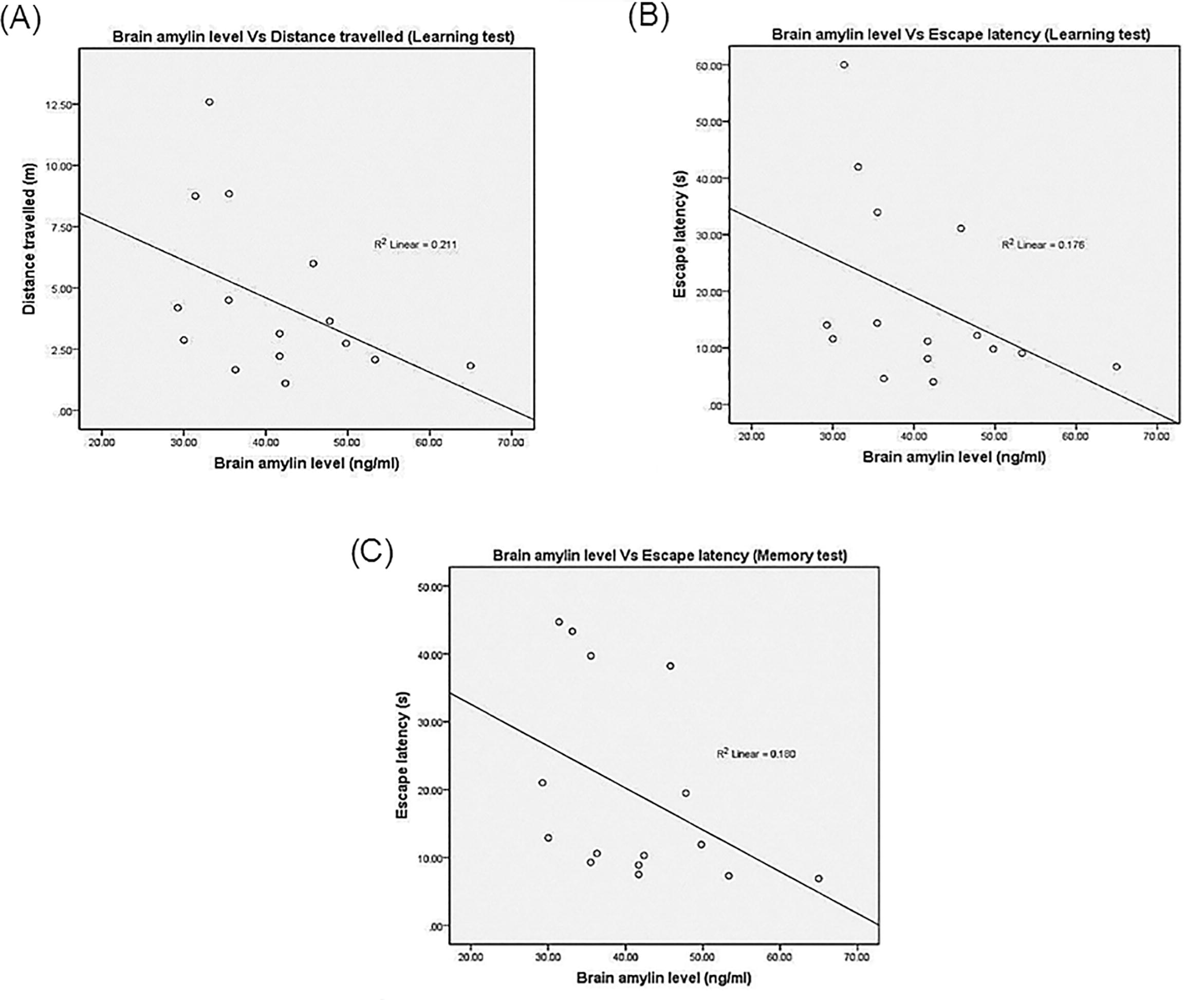 The Pearson’s Correlation and Regression Between the Brain Amylin with (A) Distance Travelled (Learning Test), (B) Escape Latency (Learning Test) and (C) Escape Latency During the Memory Test.