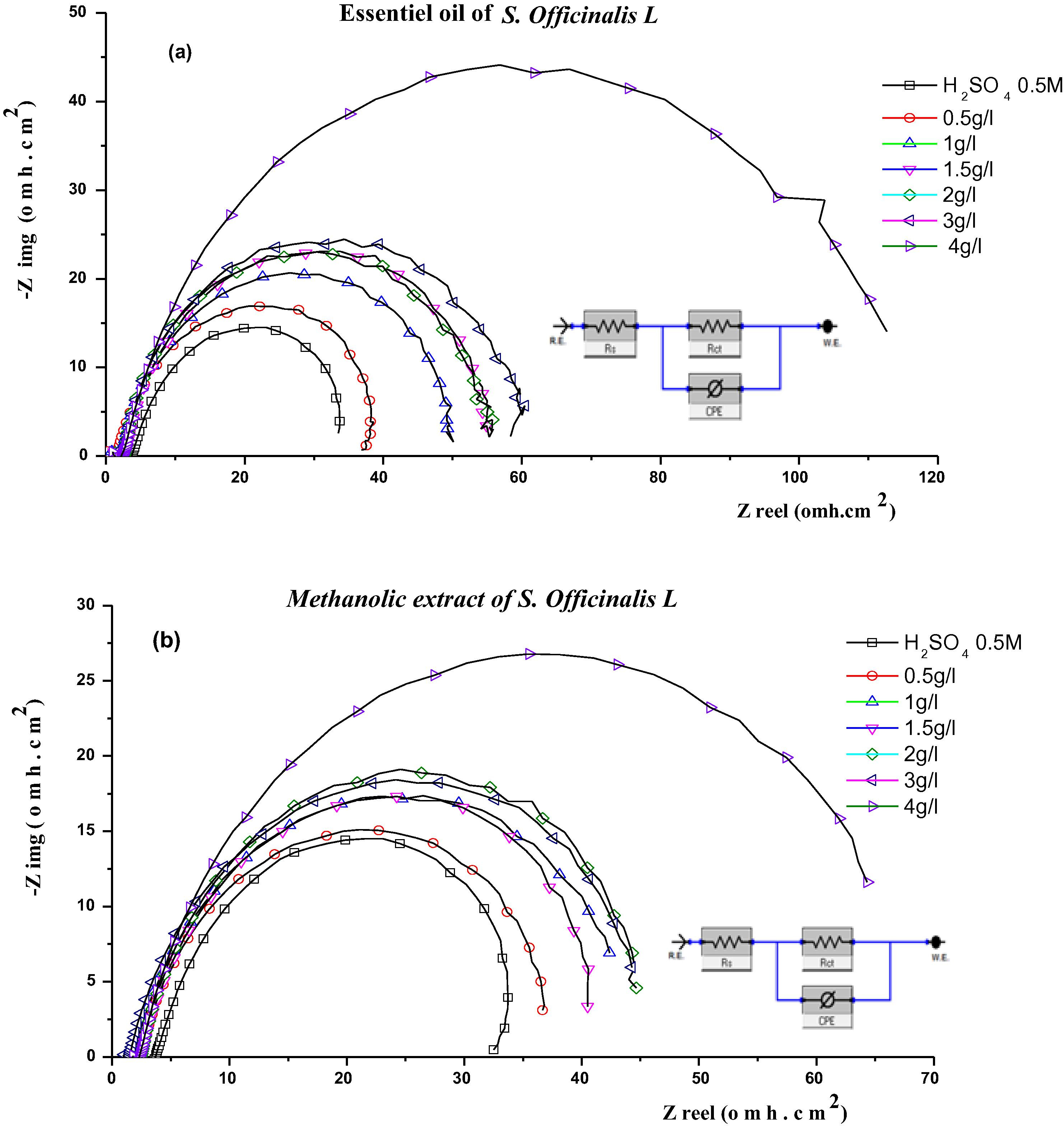 Diagrams of impedance of iron in H2SO4 0.5 M in absence and in presence of essential oil (a) and the methanolic extract (b) of the Salvia officinalis L. at different concentration at room temperature and Equivalent circuits used to fit the impedance spectra data.