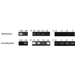 Article figure