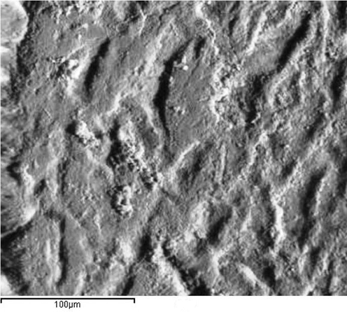 SEM micrograph of magnified image of peened Al-alloy cross section surface by 100pulse/mm2.