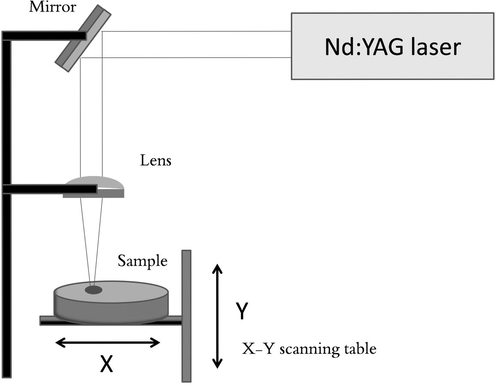 Schematic representation of the experiment setup.