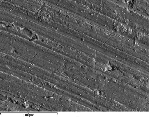 SEM micrograph image of an unpeened Al-alloy surface.