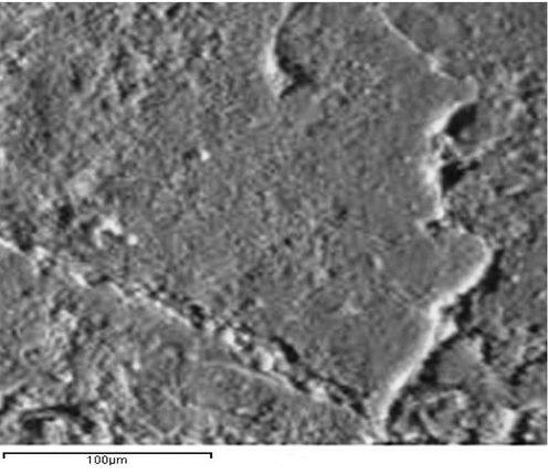 SEM micrograph image of an unpeened Al-alloy cross section surface.