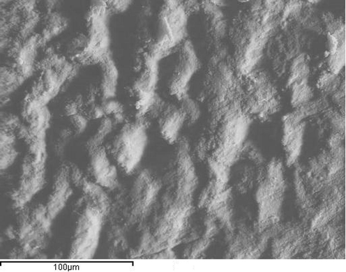 SEM micrograph of magnified image of peened Al-alloy cross section surface by 10pulses/mm2.