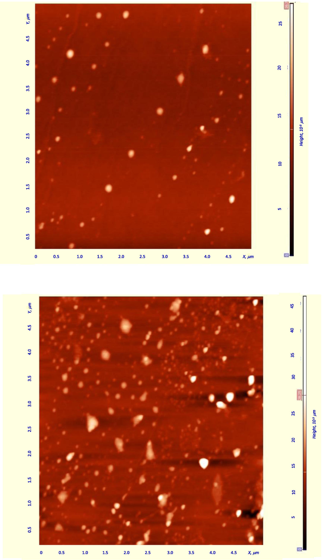 AFM images for MDMO-PPV films casted from (a) THF and (b) Cyclohexanone; the bright spots indicate polymer aggregates.