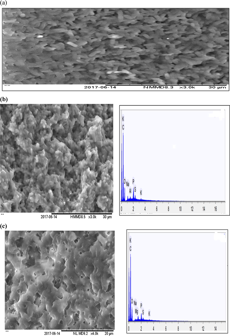 Micrographs of SEM-EDXS of blank sample containing growth medium only (a); treated sample from the surface layer of the port (b); treated sample from the bottom layer of the port (c).