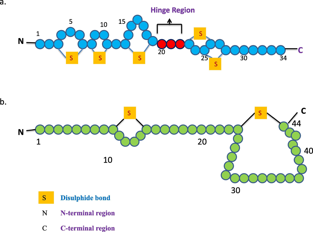 (a). Primary structure of Nisin. (b). Primary structure of Pediocin.