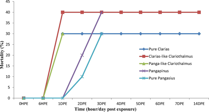 Mortality of control fishes under continuous aeration.