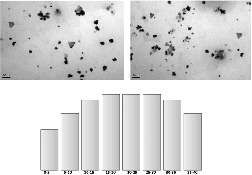 TEM analysis and histogram for size of bimetallic nanoparticles.