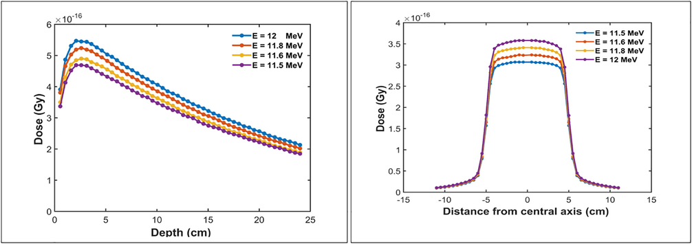 Variation of the absorbed dose with depth and the dose profile with the energies.