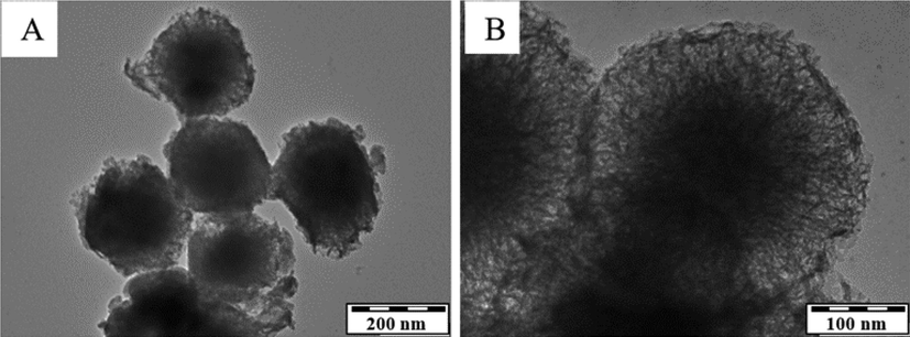 TEM image of KCC-1 with different magnifications.