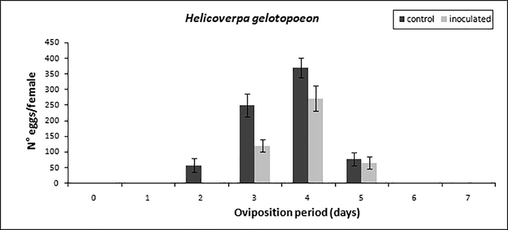 Helicoverpa gelotopoeon fecundity of females fed with soybean inoculated with Beauveria bassiana and not inoculated (control). Bars indicate ± SEM.