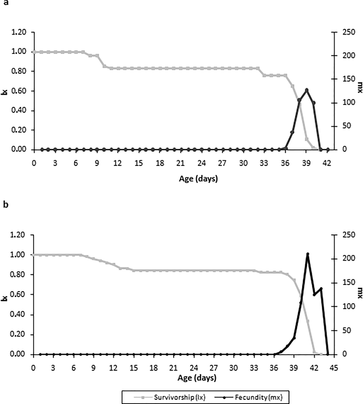 Survival (lx) and fecundity mx curves of Helicoverpa gelotopoeon females reared with inoculated soybean plants (a) and not inoculated (control) (b).