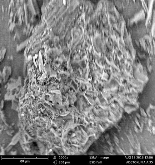 SEM image of AC before adsorption showing etched structure with various pore dimensions.